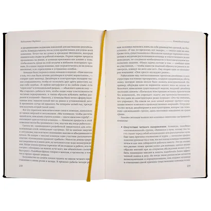 Командный подход. Создание высокоэффективной организации. Том 36 - фото 4