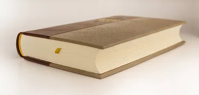 Марк Аврелий. Наедине с собой. Размышления. Коллекционное иллюстрированное издание премиум-класса в кожаном переплете ручной работы в стиле 19 века с бинтами, красочным тиснением и торшонированными обрезами - фото 9