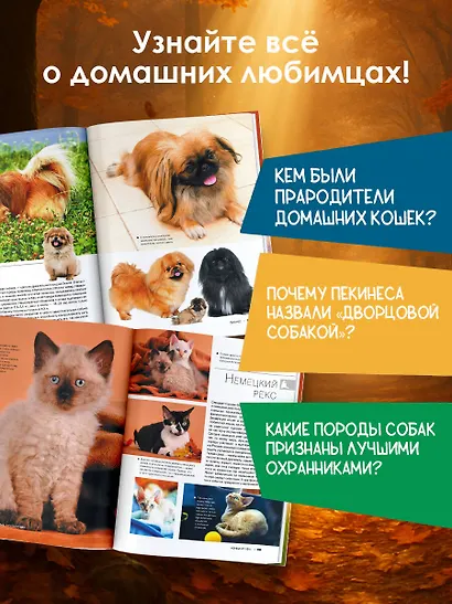 Большая книга о кошках и собаках. 1001 фотография - фото 5