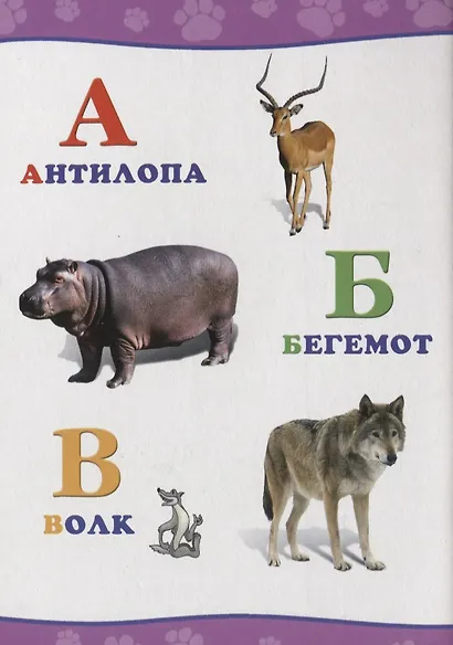 Обо всём на свете.  Алфавит - фото 2