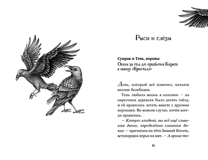 Дети леса. Двенадцать секретов (#8) - фото 12