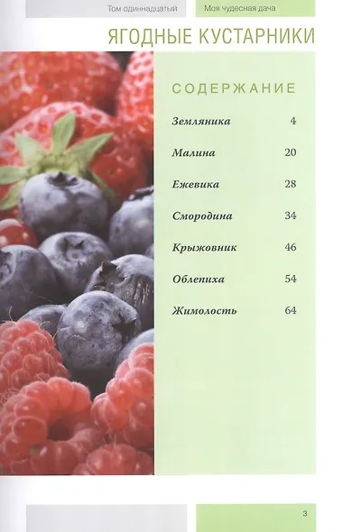 Моя чудесная дача т.11 Ягодные кустарники (Горбунов) - фото 2