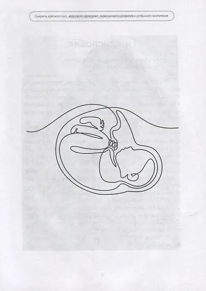 Пусть мама услышит. Секреты крепкого сна, здорового прикорма, гармоничного развития - фото 4