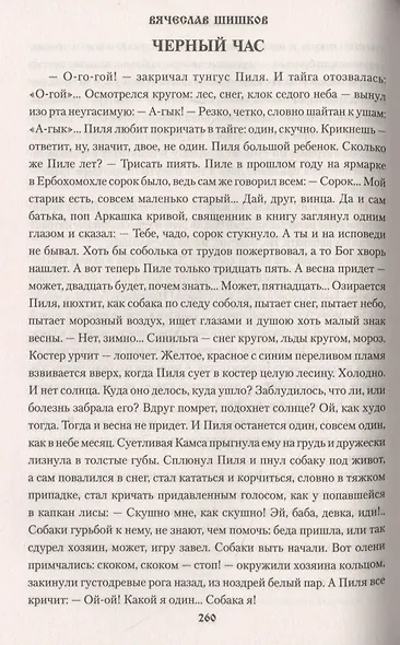 Тайга - фото 3