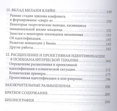 Расщепление и проективная идентификация (СПТиП) Гротштейн - фото 4
