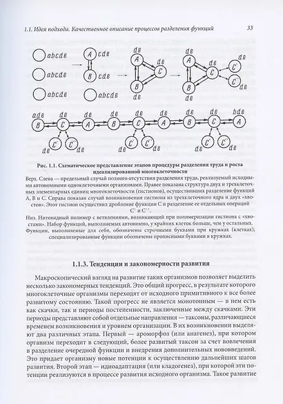 Структурные основы биологии развития и трехмерной гистологии. Новый подход в изучении канцерогенеза - фото 10