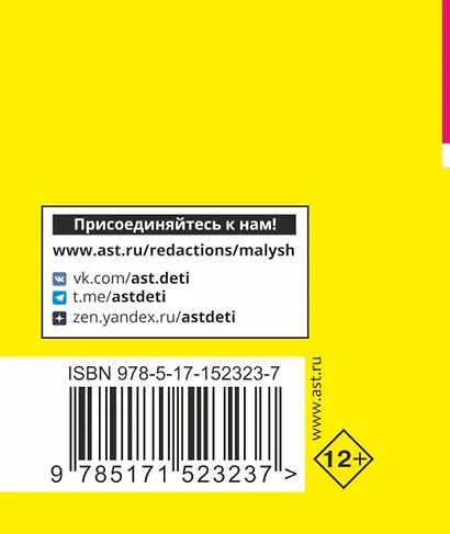 Пишем сочинения. Экспресс-справочник для подготовки к ЕГЭ - фото 2