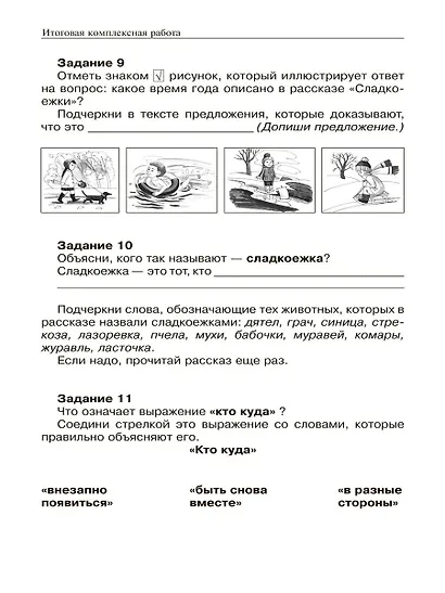 Итоговая комплексная работа. 1 класс. Методические указания по организации и проведению (+CD) - фото 4