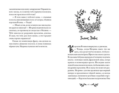 Октавия Блум и пропавший ключ. Книга 1 - фото 8