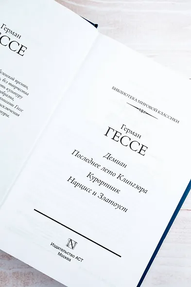 Демиан. Последнее лето Клингзора. Курортник. Нарцисс и Златоуст - фото 9