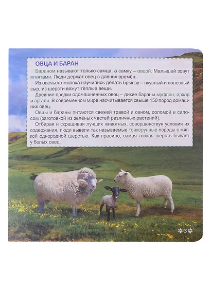 ЭНЦИКЛОПЕДИЯ С КРУТЯЩЕЙСЯ ШПАРГАЛКОЙ. Домашние животные - фото 5