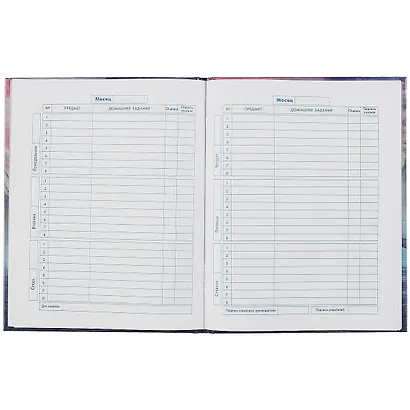 Дневник для младших классов Феникс+, "Крутая тачка" - фото 2