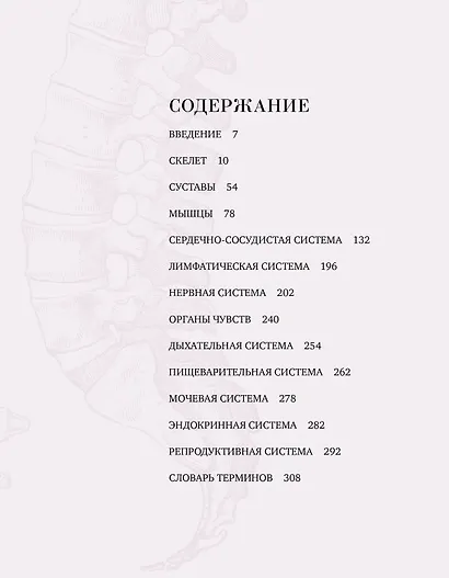 Анатомия - фото 3