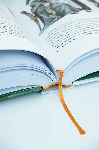 Том Сойер и Гекльберри Финн. Все приключения в одном томе - фото 12