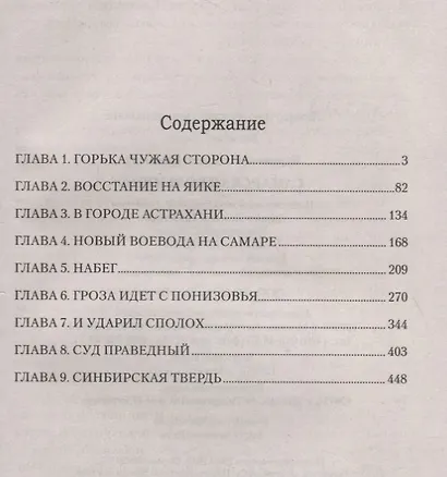 Самарская вольница - фото 2