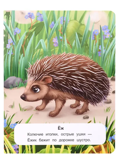 Лесные животные: стихи - фото 3