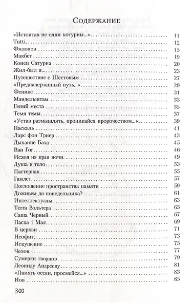Остров мусорного Христа - фото 2