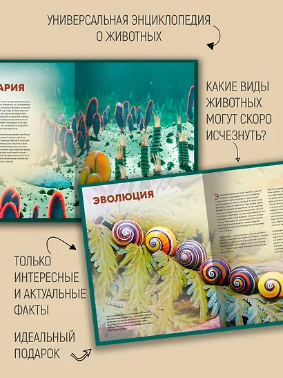 Огромная энциклопедия животных мира - фото 5