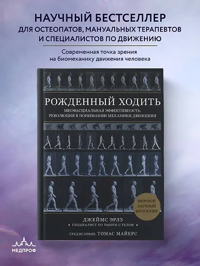 Рожденный ходить. Миофасциальная эффективность: революция в понимании механики движения - фото 4
