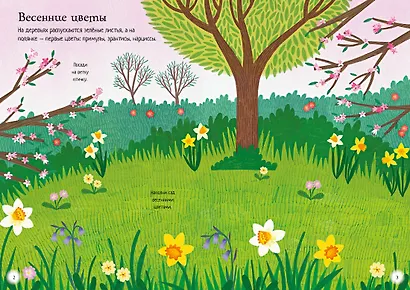 Прекрасные цветы - фото 7