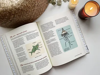 Может ли лошадь решать уравнения? И ещё 320 вопросов о животных - фото 11