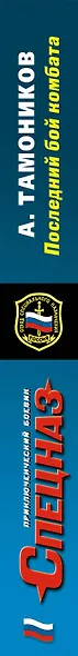 Последний бой комбата - фото 5