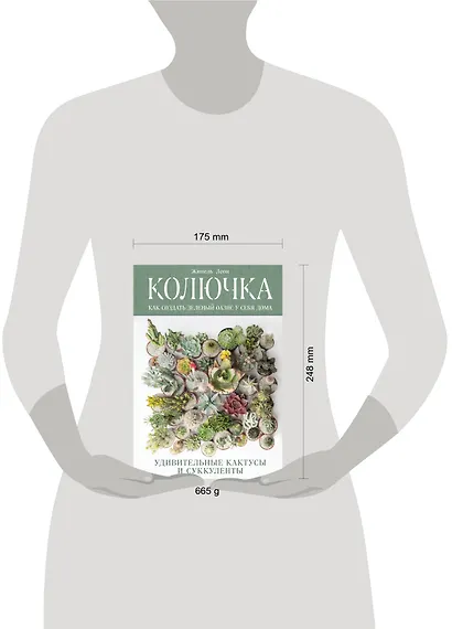 Колючка: как создать зеленый оазис у себя дома. Удивительные кактусы и суккуленты - фото 3