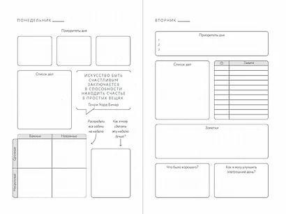 Visual planner: Цели. Мечты. Достижения. Ежедневник (ежевика) - фото 2