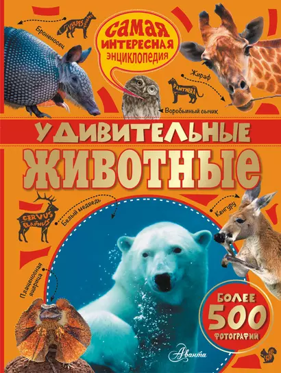 Удивительные животные - фото 1