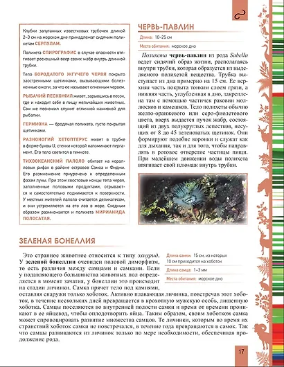 Животные. Большая энциклопедия - фото 5