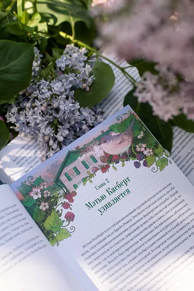 Аня из зеленых мезонинов - фото 9