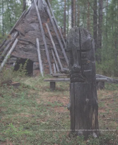 Тунгусский метеорит. Главные загадки таинственного НЛО - фото 4