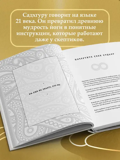 Внутренняя инженерия. Путь к радости. Практическое руководство от йога - фото 7