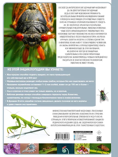 Насекомые - фото 2