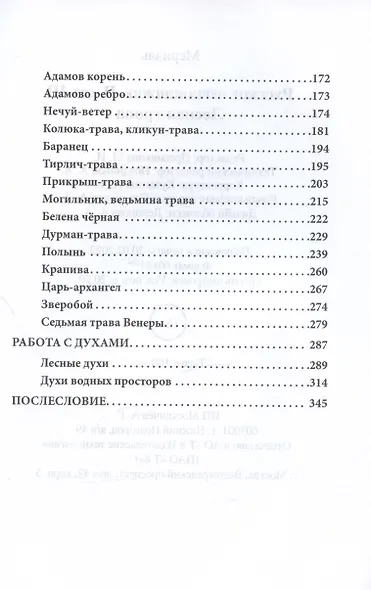 Русское чернокнижие. Часть III. Лесная тропа - фото 4