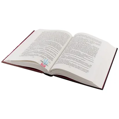 Магнитные закладки «Фламинго и кактусы», 4 штуки - фото 3