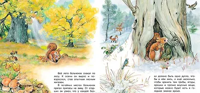 Приключения бельчонка - фото 4