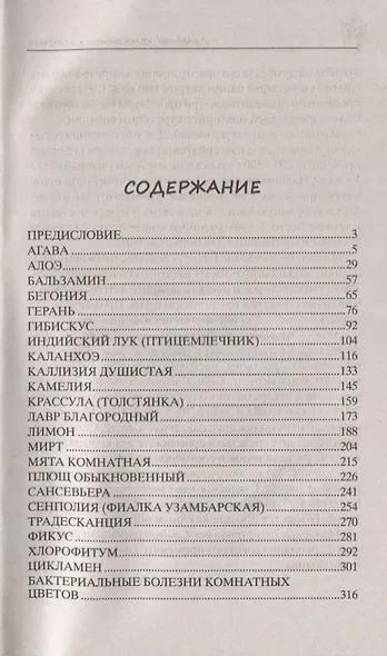 Лечебные комнатные растения. ТОП­20 лекарей с вашего подоконника - фото 2