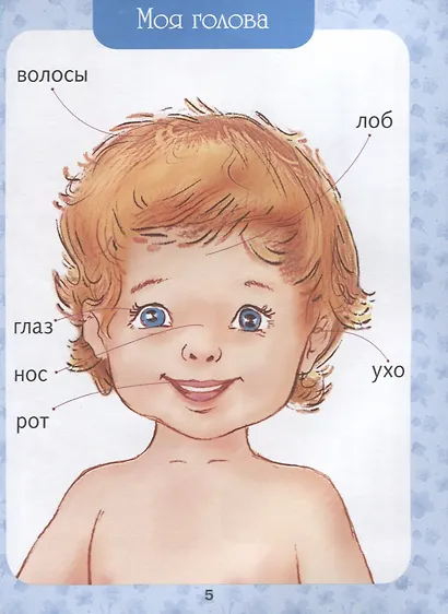 Энциклопедия. Первая книга малыша от 6 месяцев и старше - фото 4