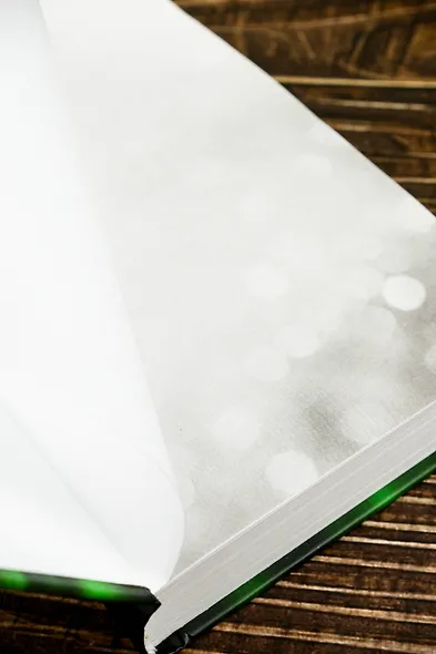 Идеальная девушка - фото 9