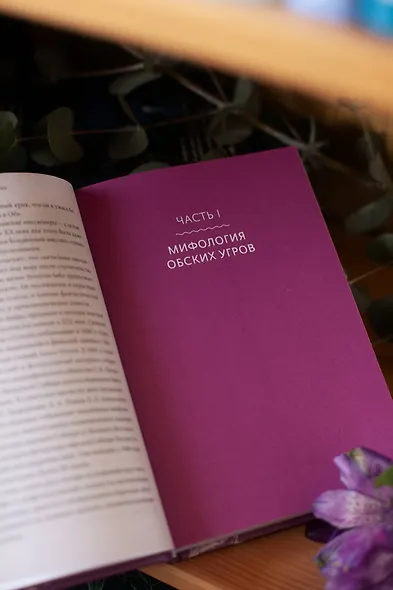 Мифы Западной Сибири. От Оби и Алтайских гор до Старика-филина и Золотой бабы - фото 11