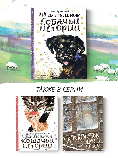 Удивительные собачьи истории - фото 6