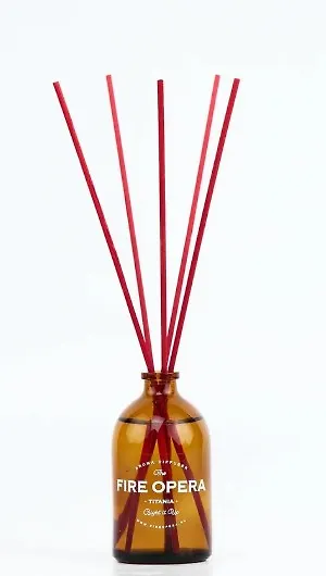 Диффузор Ароматический (Магнолия,специи,базилик) (100мл) (D100_Titania) - фото 3