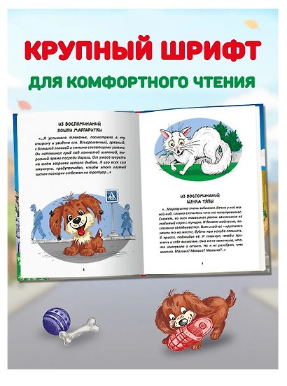 Разыскивается щенок - фото 3