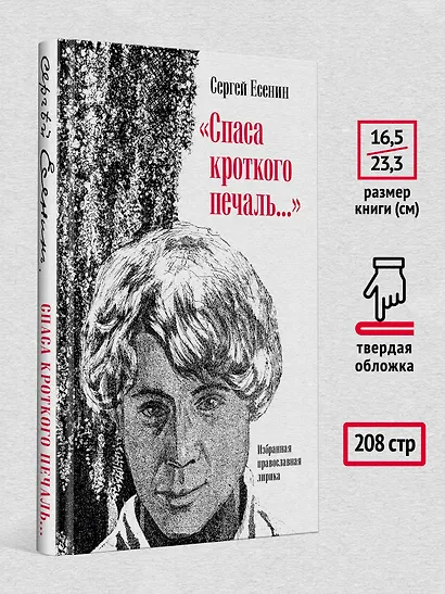 &quot Спаса кроткого печаль...&quot  Избранная православная лирика - фото 6