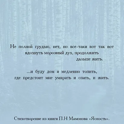 Ясность - фото 7