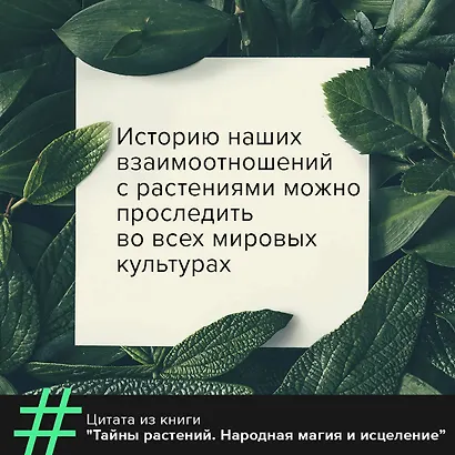 Тайны растений. Народная магия и исцеление - фото 7