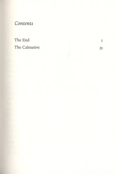 The End - фото 2
