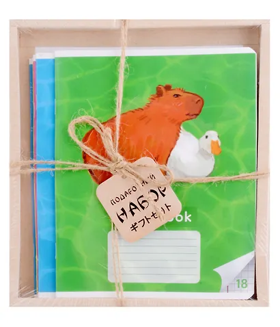 Тетрадь А5 18 листов "Капибары на природе" + ручка гелевая синяя пиши-стирай, + ручка шариковая синяя - фото 5