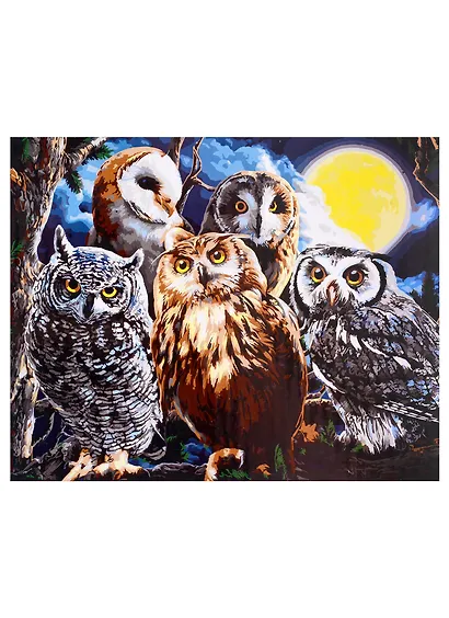 Холст с красками по номерам на подрамнике "Совиная компания", 40 х 50 см - фото 1